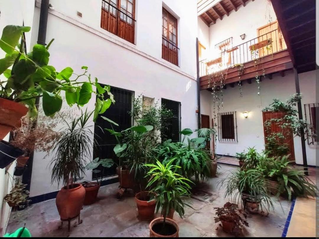 Appartement Casa Coco Urban
