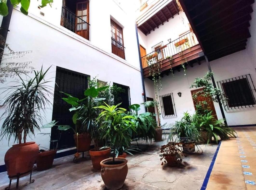 Casa Coco Urban Appartement